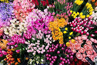 《勇者斗恶龙3：HD-2D重制版》M站均分85 福布斯打出满分评价